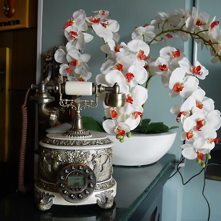Phaphoom Boutique-2